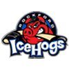 Rockford IceHogs Logo